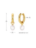 1 Pair Lady Round Plating 304 Stainless Steel 14K Gold Plated Drop Earrings main image 3