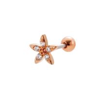 1 Piece Ear Cartilage Rings & Studs Sweet Heart Shape Flower 316 Stainless Steel  Copper Plating Inlay Zircon sku image 21
