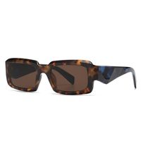 Basic Simple Style Solid Color Leopard Resin Oval Frame Full Frame Women's Sunglasses sku image 2