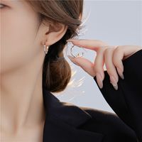 1 Pair Casual Leaf Flower Plating Sterling Silver 24k Gold Plated White Gold Plated Ear Studs main image 5