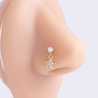1 Piece Nose Rings & Studs Basic Classic Style Heart Shape Flower Butterfly 316L Stainless Steel  Copper Plating Inlay Zircon main image 3