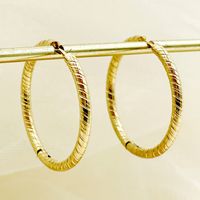 1 Paar Lässig Einfacher Stil Einfarbig Überzug Edelstahl 304 Vergoldet Reif Ohrringe sku image 1
