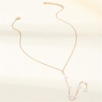 Elegant Simple Style Solid Color Artificial Pearl Alloy Beaded Women's Sweater Chain main image 3