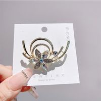 Vintage Style Leaf Alloy Plating Women's Brooches 1 Piece sku image 1