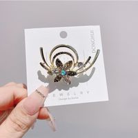 Vintage Style Leaf Alloy Plating Women's Brooches 1 Piece sku image 4