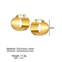 1 Pair Basic Geometric Plating Stainless Steel Earrings main image 3