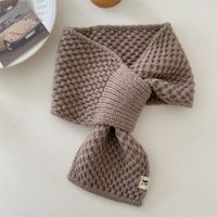 Women's Simple Style Solid Color Polyester Scarf sku image 11