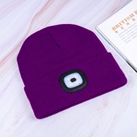 Women's Casual Simple Style Solid Color Eaveless Wool Cap sku image 3