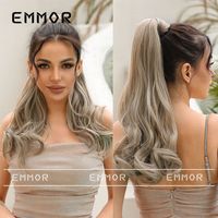 Women's Simple Style Holiday High Temperature Wire Ponytail Wigs sku image 25