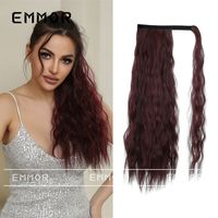 Women's Simple Style Holiday High Temperature Wire Ponytail Wigs main image 2