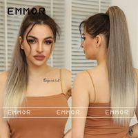 Women's Simple Style Holiday High Temperature Wire Ponytail Wigs sku image 20