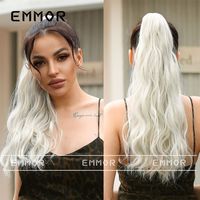 Women's Simple Style Holiday High Temperature Wire Ponytail Wigs sku image 22