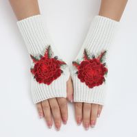 Frau Klassischer Stil Blume Handschuhe 1 Paar main image 4