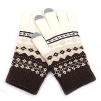 Femmes Style Simple Bloc De Couleur Gants 1 Paire main image 5