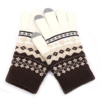 Women's Simple Style Color Block Gloves 1 Pair main image 5