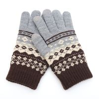 Women's Simple Style Color Block Gloves 1 Pair main image 2