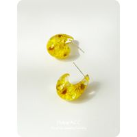 1 Pair Casual Flower Dried Flower Resin Ear Studs sku image 1