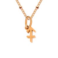 Simple Style Constellation Stainless Steel Plating Gold Plated Pendant Necklace sku image 23