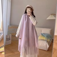 Women's Sweet Color Block Polyester Tassel Scarf sku image 5