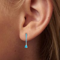 1 Pair Simple Style Round Water Droplets Inlay Sterling Silver Zircon Drop Earrings main image 1
