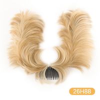 Women's Simple Style Street High Temperature Wire Straight Hair Wig Clips sku image 10