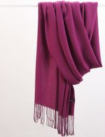 Women's Cute Sweet Simple Style Solid Color Polyester Scarf sku image 25