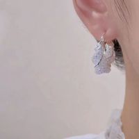 Wholesale Jewelry Elegant Lady Geometric Artificial Crystal Earrings main image 4
