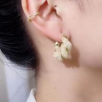 Wholesale Jewelry Elegant Lady Geometric Artificial Crystal Earrings main image 3