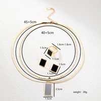 201 Stainless Steel Plastic 18K Gold Plated IG Style Modern Style Plating Inlay Rectangle Plastic Jewelry Set main image 6