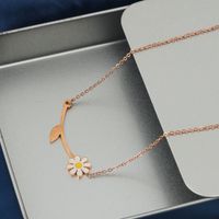 Einfacher Stil Blume Rostfreier Stahl Überzug 18 Karat Vergoldet Halskette Mit Anhänger main image 3
