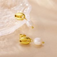 1 Pair Elegant Lady Geometric Plating Stainless Steel Freshwater Pearl 18k Gold Plated Drop Earrings main image 4