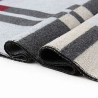 Unisex Simple Style Stripe Imitation Cashmere Tassel Scarf main image 3