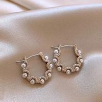 Wholesale Jewelry Simple Style Geometric Solid Color Alloy Hoop Earrings main image 6