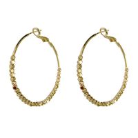 Wholesale Jewelry Vintage Style Geometric Solid Color Metal Plating Hoop Earrings main image 2