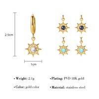 Style Simple Fleur Acier Au Titane Placage Incruster Turquoise Boucles D'oreilles 1 Paire main image 8