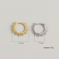 1 Pair Fashion Geometric Plating Sterling Silver Earrings main image 4