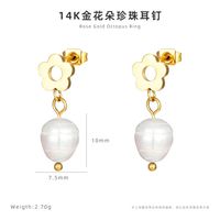 1 Paar Einfacher Stil Blume Titan Stahl Patchwork Ohrringe sku image 1