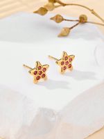 1 Pair Simple Style Shiny Star Plating Inlay 304 Stainless Steel Zircon 18K Gold Plated Ear Studs main image 1