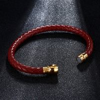 Simple Style Color Block Pu Leather Titanium Steel Plating 18K Gold Plated Men's Bracelets main image 3