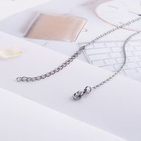 Simple Style Heart Shape Titanium Steel Plating Women's Pendant Necklace main image 5