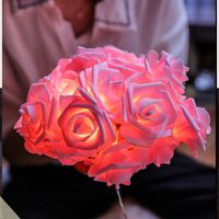Christmas Valentine's Day Simple Style Rose Pvc Indoor Party String Lights main image 2