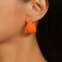 1 Paire Style Simple Couleur Unie Plastique Boucles D'oreilles main image 3