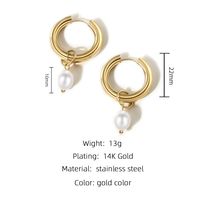 Fashion Solid Color Titanium Steel Drop Earrings Pearl Plating Stainless Steel Earrings main image 6