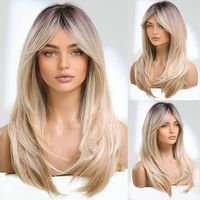 Women's Simple Style Street High Temperature Wire Side Fringe Long Straight Hair Wig Net main image 6