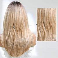 Women's Simple Style Street High Temperature Wire Side Fringe Long Straight Hair Wig Net main image 4