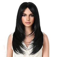 Women's Simple Style Street High Temperature Wire Side Fringe Long Straight Hair Wig Net sku image 3