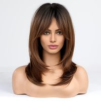 Women's Simple Style Street High Temperature Wire Side Fringe Long Straight Hair Wig Net sku image 6