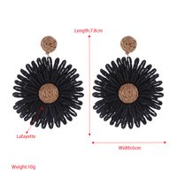 1 Pair Simple Style Round Flower Braid Alloy Raffia Drop Earrings main image 2
