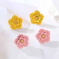 1 Pair Sweet Flower Alloy Earrings main image 4
