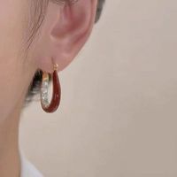 Wholesale Jewelry Classical Pastoral Irregular Color Block Alloy Rhinestones Gold Plated Stoving Varnish Plating Inlay Hoop Earrings main image 1